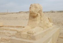 منطقة آثار الفيوم