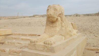 منطقة آثار الفيوم