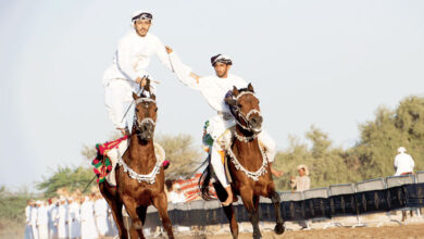 عرضة الخيل والإبل