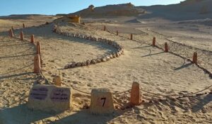 وادي الحيتان