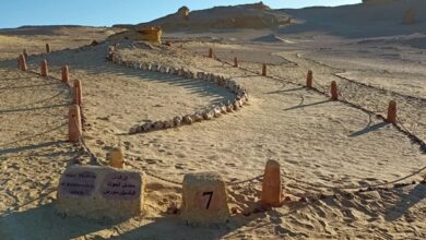 وادي الحيتان