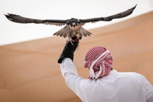 الصقارة