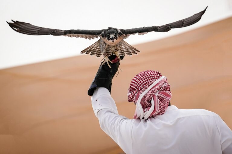 الصقارة