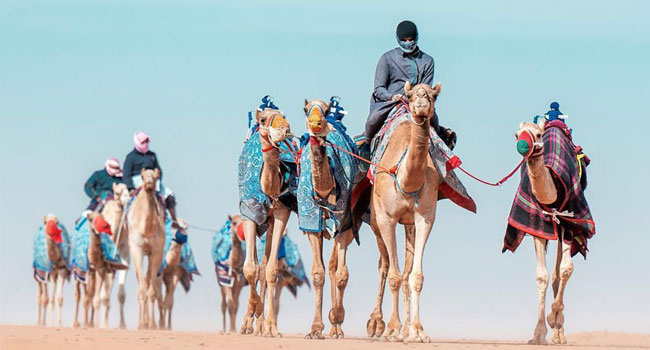 الحداء