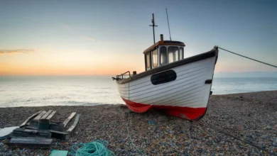 الصيد باستخدام الشرفية