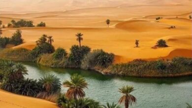 محمية وادي هور