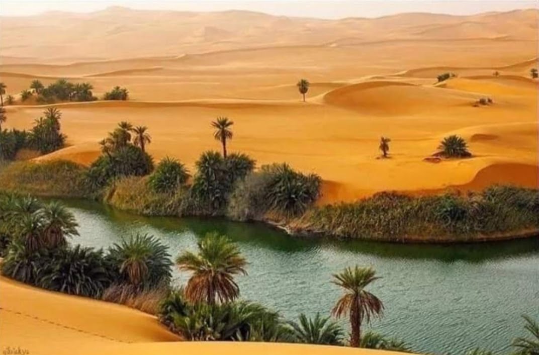 محمية وادي هور