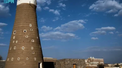 قصبة المضمار