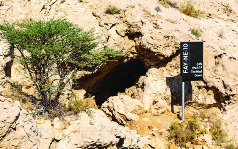 الإمارات تسجّل موقع “الفاية” على قائمة اليونسكو للتراث