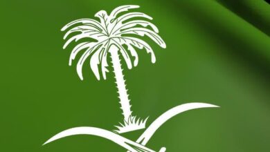 النخلة السعودية