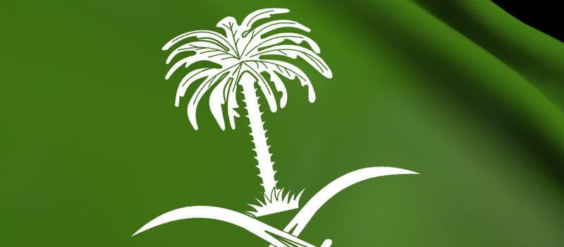 النخلة السعودية