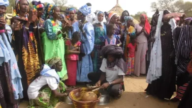 ملحمة سامبا غيلاديو