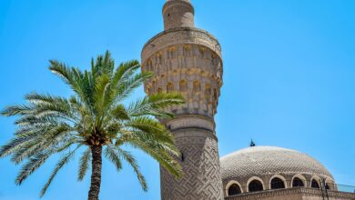 جامع الخلفاء