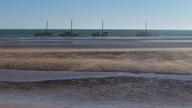 المنتزه الوطني بانك دارغوين