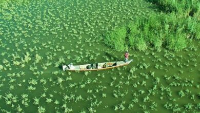 أهوار العراق