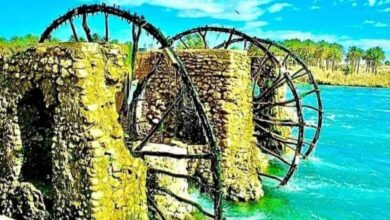 فن صناعة الناعور العراقي