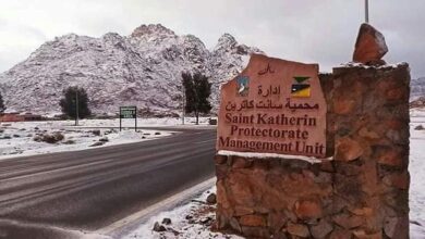 منطقة سانت كاترين