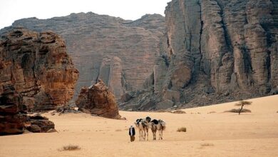 محمية طاسيلي ناجر