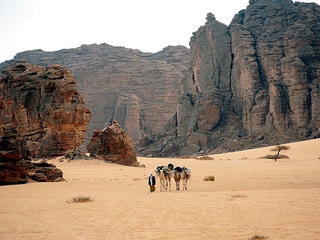 محمية طاسيلي ناجر