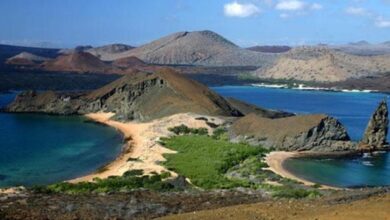 محمية العميد الطبيعية