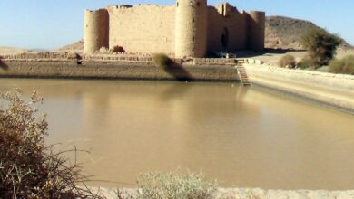 قلعة الصورة