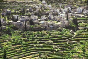 قرية بتير الفلسطينية