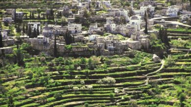 قرية بتير الفلسطينية