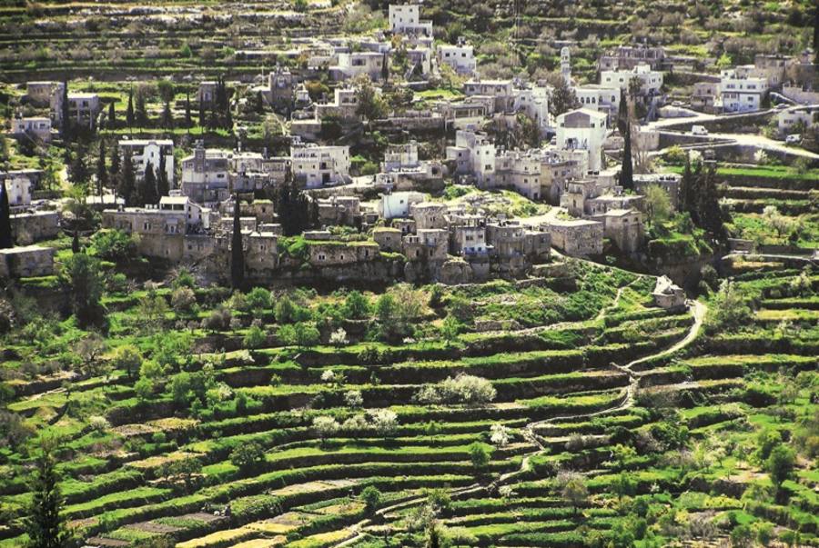 قرية بتير الفلسطينية