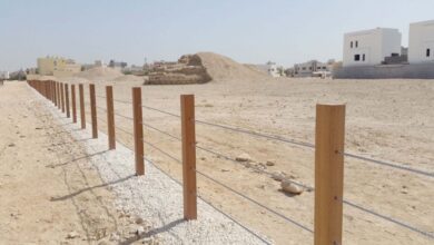 مدافن الجنبية