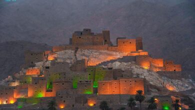 قرية ذي عين