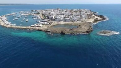 جزيرة أرواد