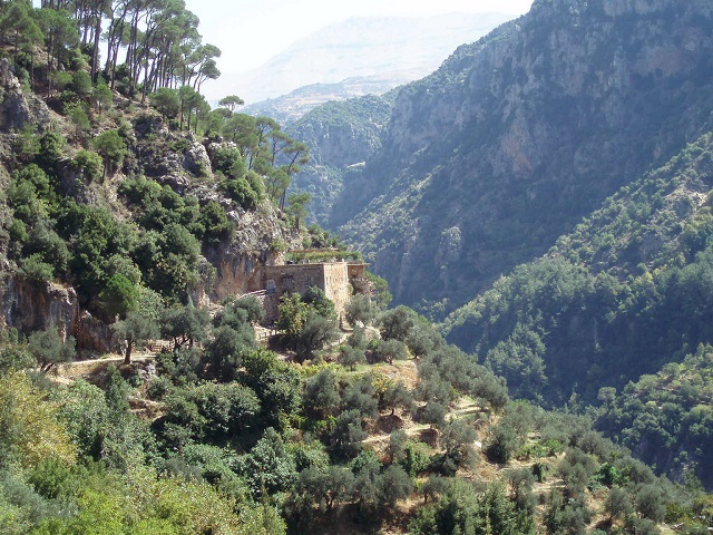 دير قنوبين