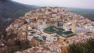 مولاي إدريس زرهون