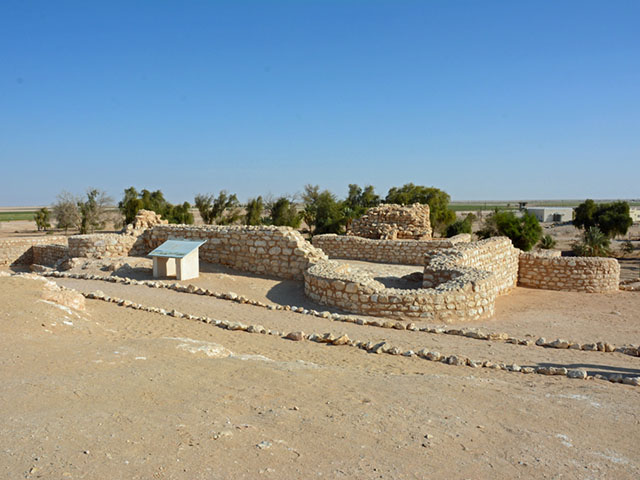 شصر