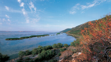 محمية إشكل الوطنية