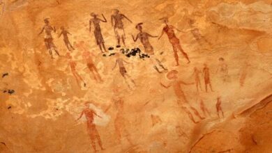 طاسيلي ناجر