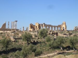 موقع وليلي الأثري