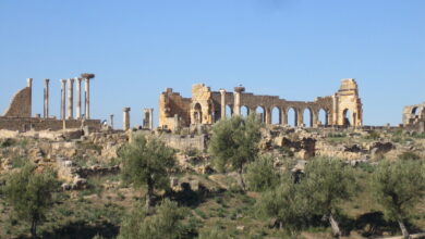 موقع وليلي الأثري