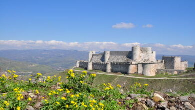 قلعة الفرسان