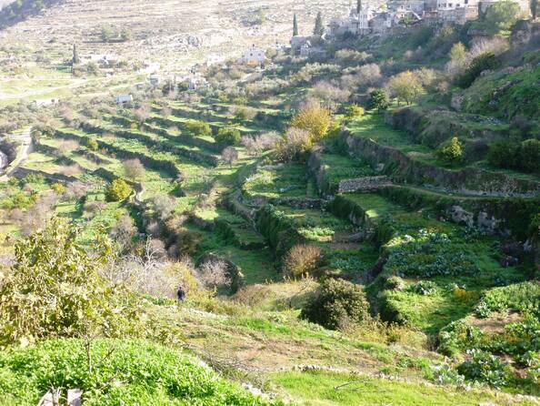 شبكة مدرجات بتير الزراعية