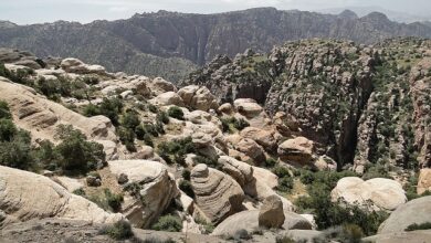 محمية ضانا الطبيعية