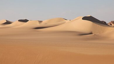 المشاهد الصحراوية الشاسعة