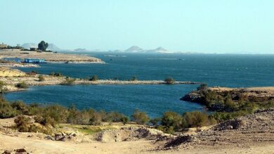 يشكل الحديث عن الواحات الجنوبية والصغيرة في الصحراء الغربية بمصر نافذة على تنوع طبيعي وحضاري يعكس ثراء البيئة المصرية وتفردها عبر العصور