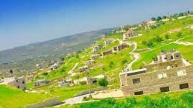 قرية جماعين