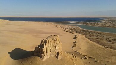 مقلع ودان الفرس