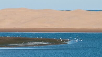 بحيرة أخنيفيس
