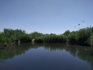 محمية الأزرق المائية