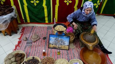 المعارف والمهارات المرتبطة بشجرة أركان
