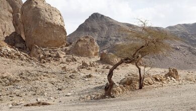 أودية الصحراء الشرقية في مصر