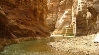 محمية الموجب